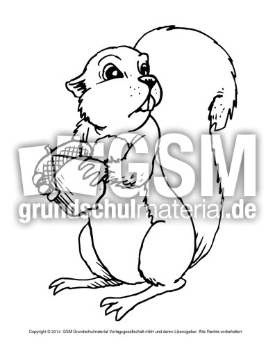 Eichhörnchen-zum-Ausschneiden.pdf